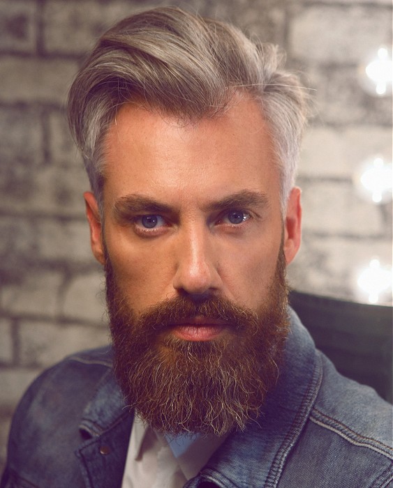 Paul Gehring Medium Grey Hairstyles